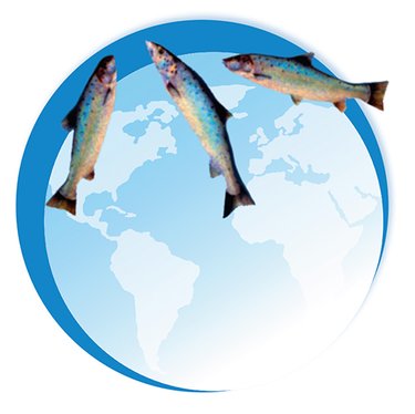 Graphic with fish floating over globe