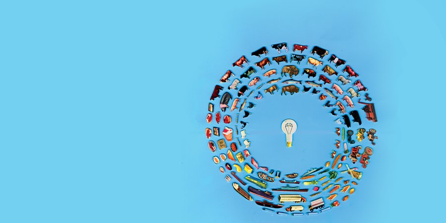 Illustration of food objects arranged in a circle around a light bulb