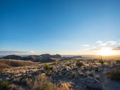 Landscape of grasslands