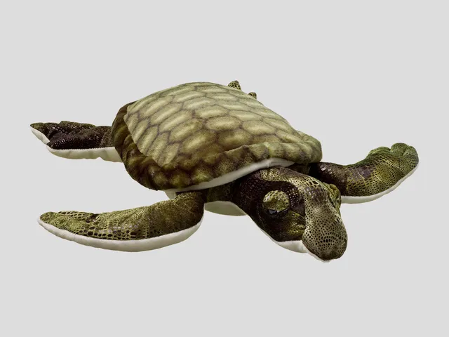 A green turtle plush against a gray background