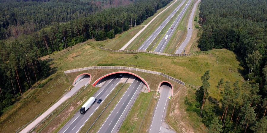 Visualization of a wildlife crossing over a highway