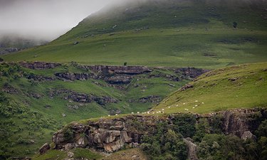 Regenerative wool farming in the Eastern Cape Drakensberg grasslands, South Africa.
