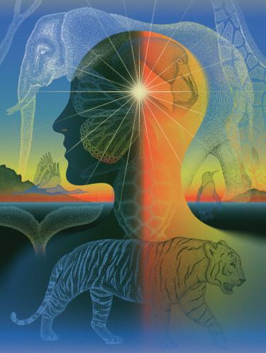 An illustration of a head/brain with line drawings of animals superimposed upon it