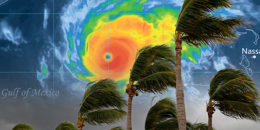 Composite image of palm trees blowing in hurricane with a radar image of a hurricane in the Gulf of Mexico