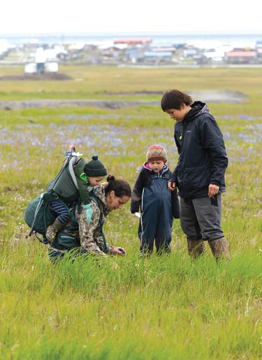 Adults and children, including a child in a carrier, examine grasses in a wetland open space near an Alaskan community