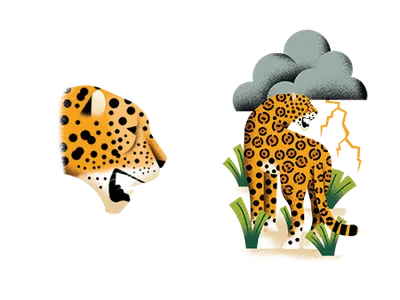Jaguar illustrations