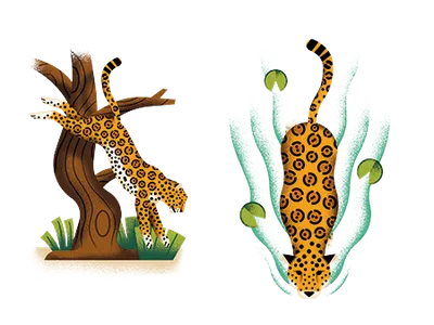 Jaguar illustrations