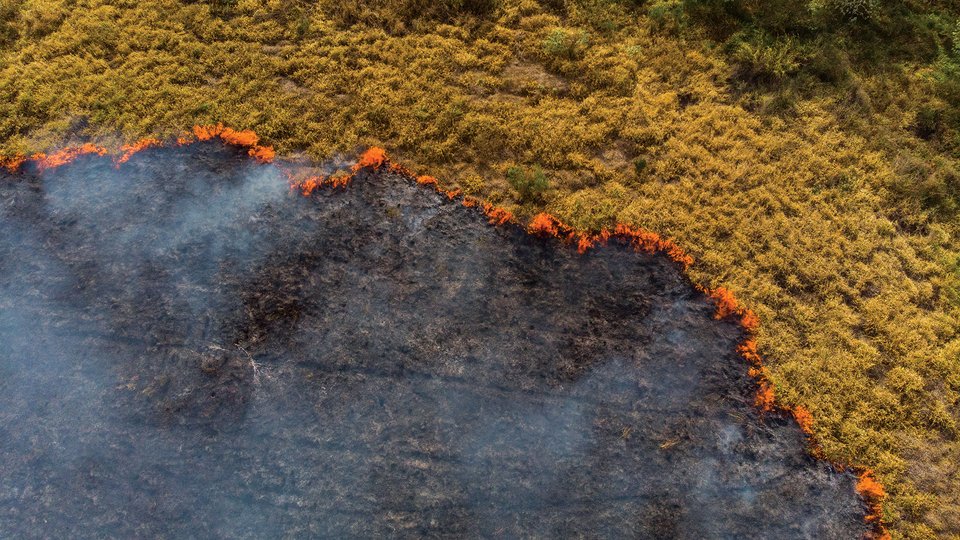 Aerial photo of burning brush land