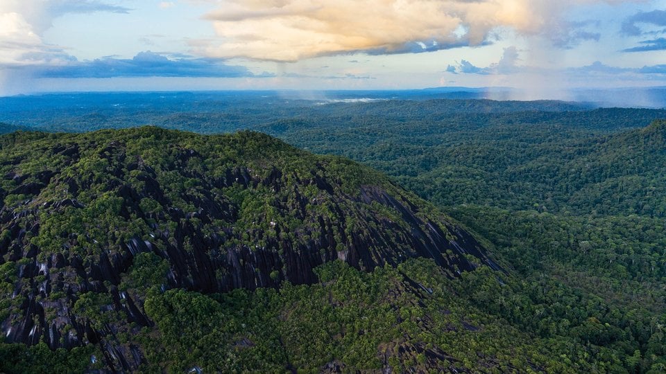 Landscape of rainforest and mountains