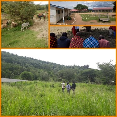 Collage of Climate Crowd Kenya