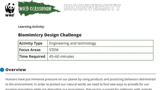 A preview of the Biomimicry Design Challenge stem activity