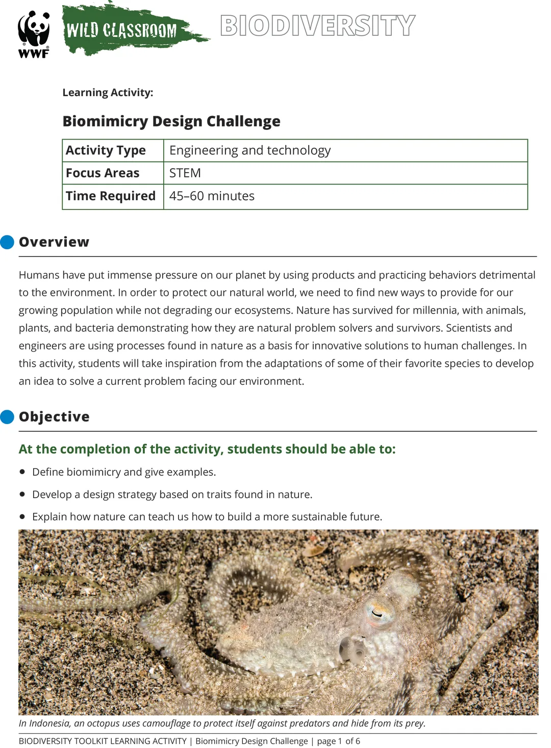 A preview of the Biomimicry Design Challenge stem activity
