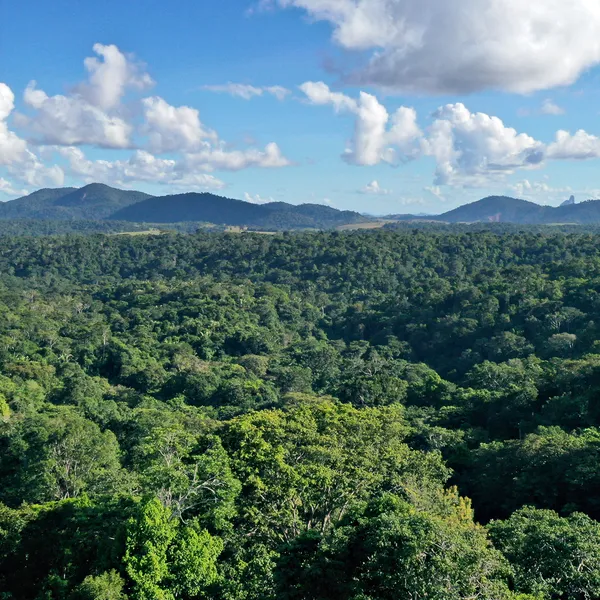 Aerial photo of a forested landscape