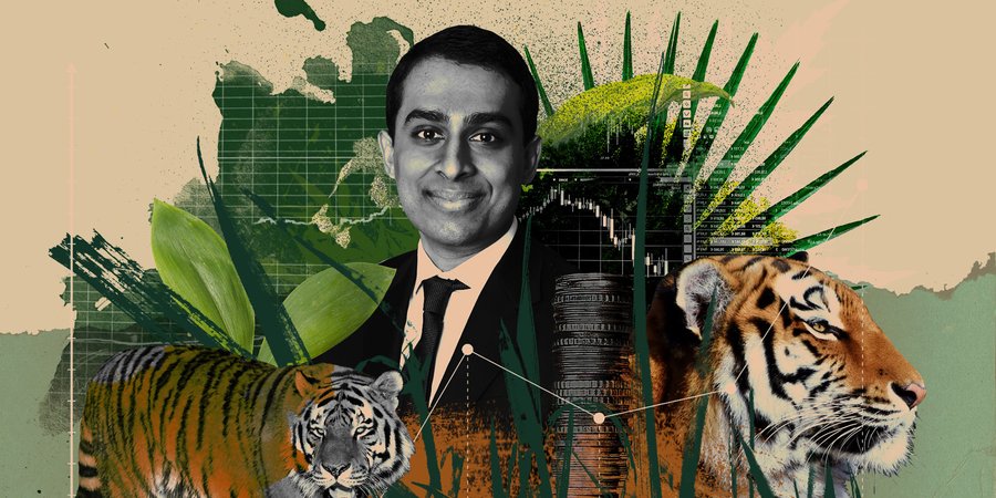 Illustration of Aier with tigers