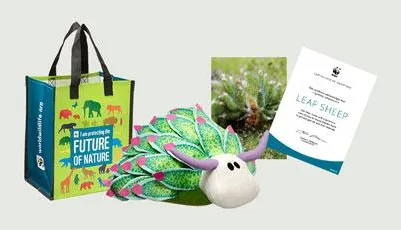 Composite image of a leaf sheep plush, WWF species reusable bag, and adoption certificate from the Online Gift Center.