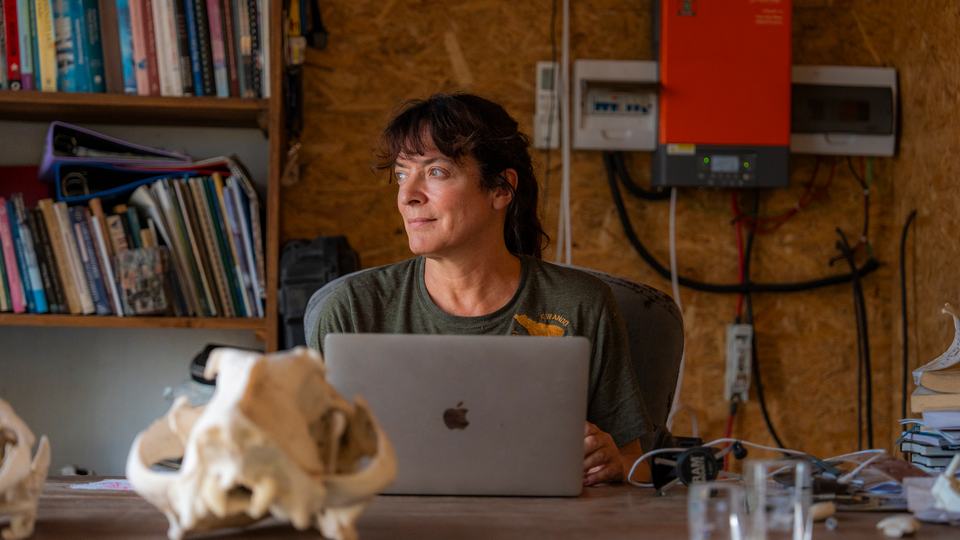 A woman sitting at a computer looks out the window