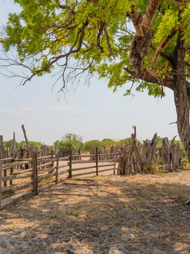 An enclosed fence made with wire and found branches
