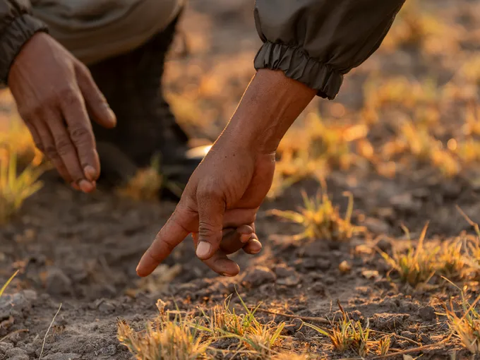 Hands pointing to animal tracks in the dirt