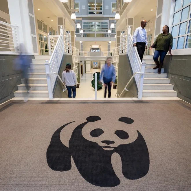 A view of the entrance to the WWF-US headquarters building with a entryway carpet with a large black panda logo on it and staff mulling about on the stairs in the bright atrium.