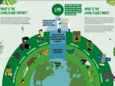 A preview of a page from the LPR 2022 youth edition