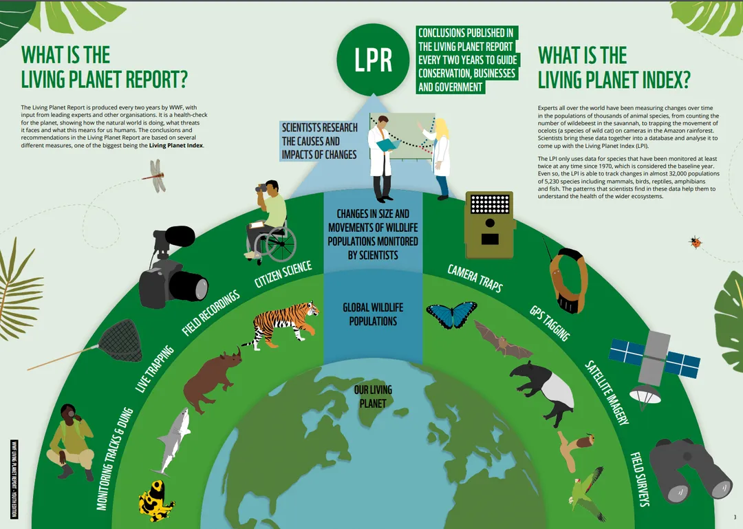 A preview of a page from the LPR 2022 youth edition