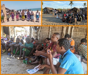 Collage of photos from Madagascar