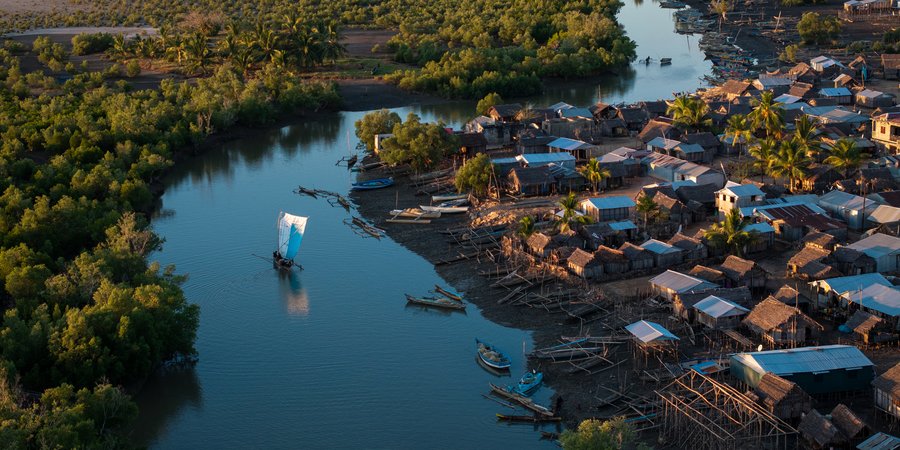 Aerial view of a village along a stream and a mangrove forest