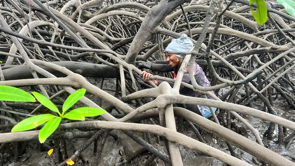 A woman poses among mangrove roots