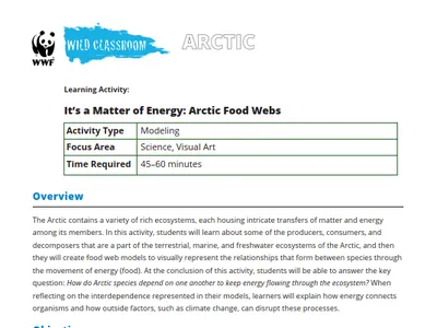 It's a Matter of Energy: Arctic Food Webs