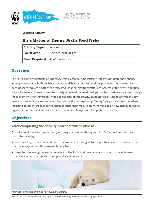 It's a Matter of Energy: Arctic Food Webs
