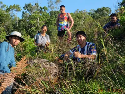 Researchers stand on a grassy hill around a newly discovered plant species