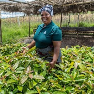 Woman stands smiling among health green crops