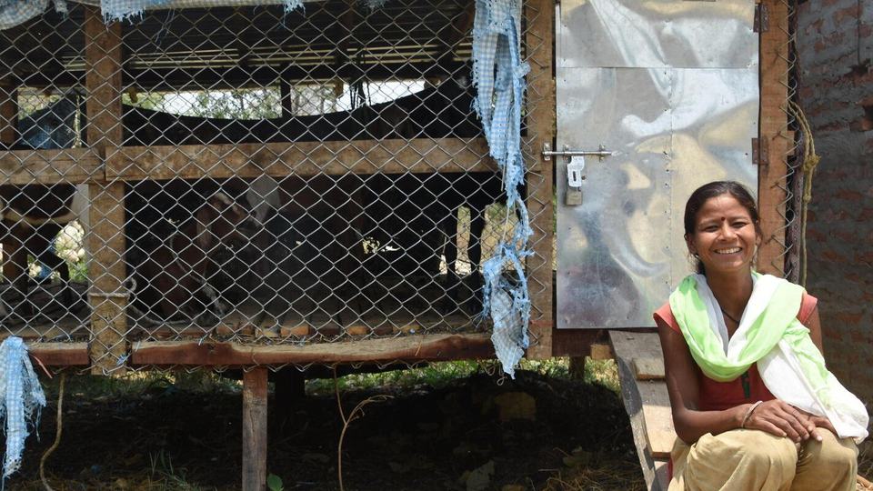 Woman in front of pen of goats in Khata corridor, Nepal