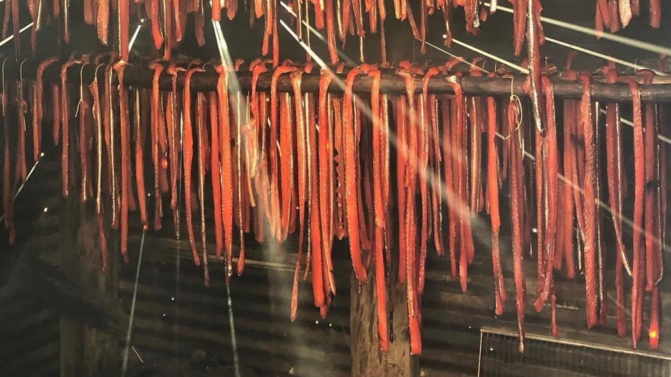Sun pours through a shed containing salmon strips hanging from the ceiling