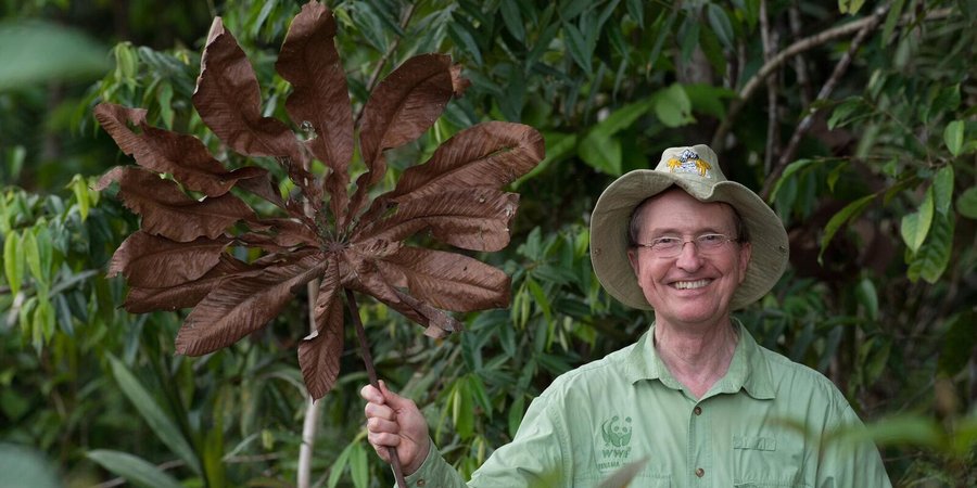 photo of thomas lovejoy with cecropia leaf taken in july 2014