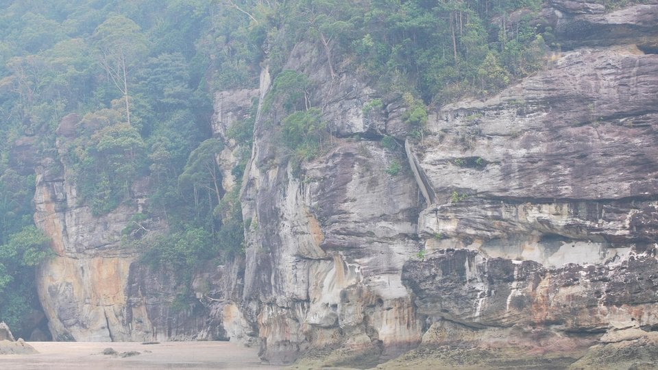 A rocky cliff face topped with trees is obscured by a haze