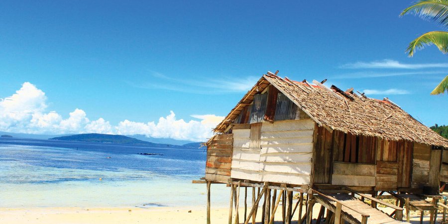 Bird's Hair Seascape, West Papua, Indonesia