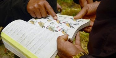 A close up view of someone holding open a bird identification book and someone else pointing to an image of a bird