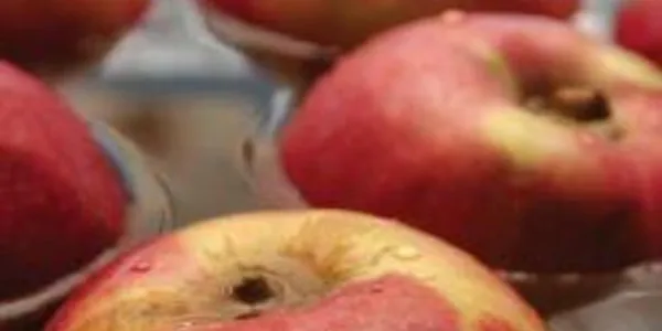 Close up of apples in a container