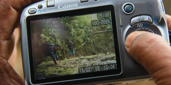 Reviewing a photograph on a Canon camera of a camera trap being tested