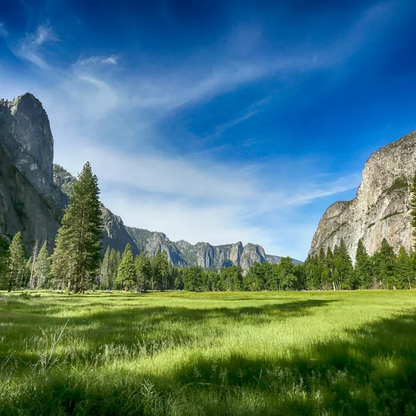 A field of green grass with trees, mountains, and blue sky in the background