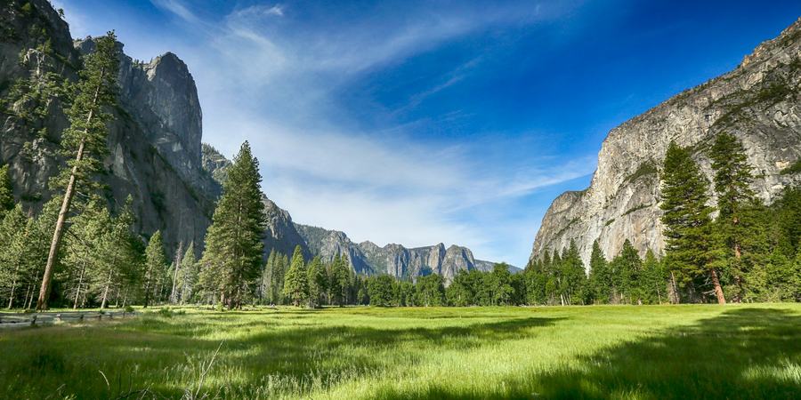 A field of green grass with trees, mountains, and blue sky in the background