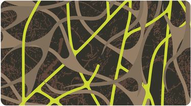 Illustration of mycellium network underground