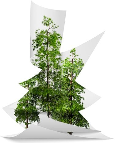 Illustration of tree and paper