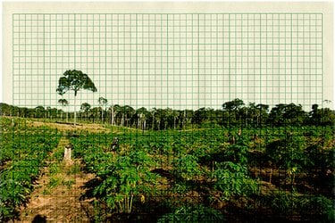 Illustration of landscape with grid overlay