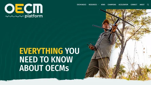 Screenshot of OECM Platform website