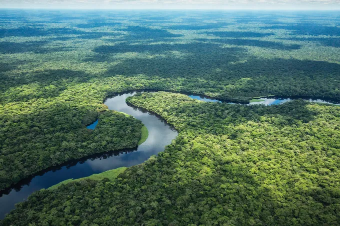 Aerial photo of river bend in forest