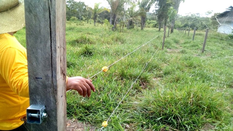 Farmer standing along fence line