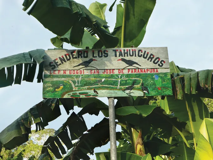 Sign with palm trees
