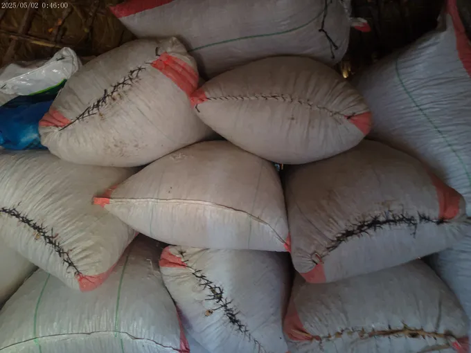 Stacked sacks of grain